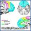 Psicopatologia delle sindromi dei lobi frontali