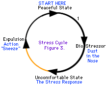 Alcuni cicli di stress sono più facili da percorrere rispetto ad altri.