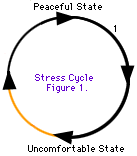 Il ciclo di stress si sta spostando da uno stato pacifico a uno stato scomodo e di nuovo a uno stato pacifico