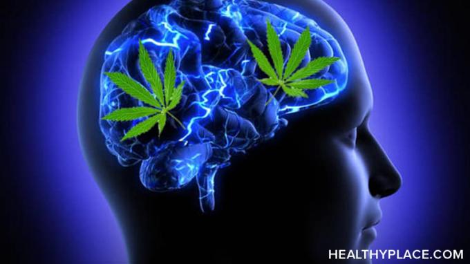 L'uso di marijuana può portare a psicosi e disturbi psicotici come la schizofrenia in alcune persone. Scopri come e chi è a rischio su HealthyPlace.