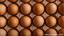 Diabete e depressione: il pollo e l'uovo