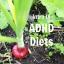 ADHD adulto e diete